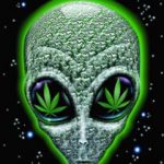 пользователь 