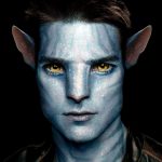 пользователь 