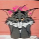 пользователь 