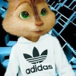 пользователь 