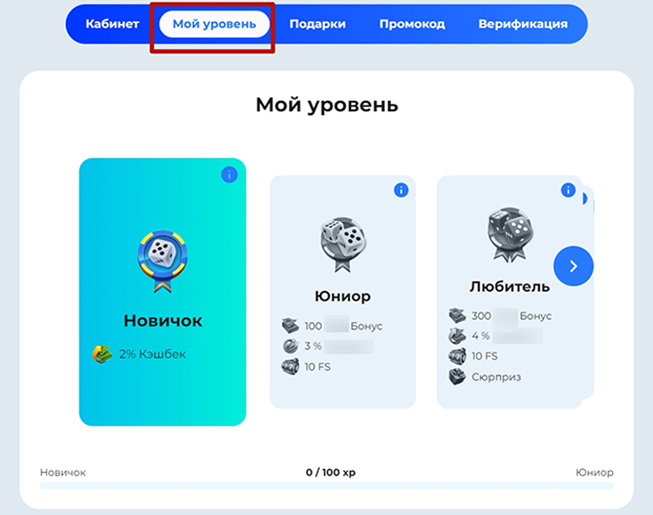 Информация в профиле по уровню игрока