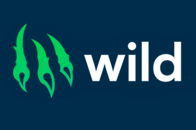 Онлайн-казино Wild io