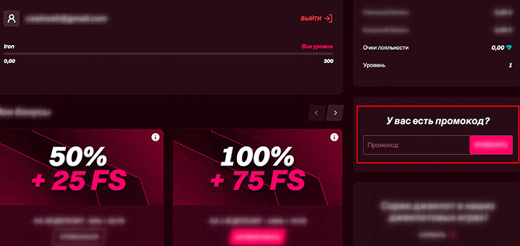 Поле для ввода бонусной комбинации