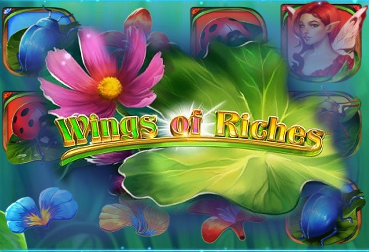 Wings of Riches