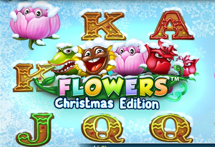 Flowers Christmas Edition