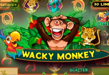 Wacky Monkey