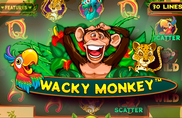 Wacky Monkey