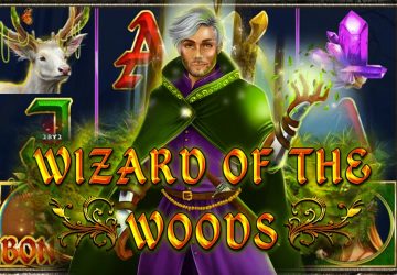 Wizard of the Woods