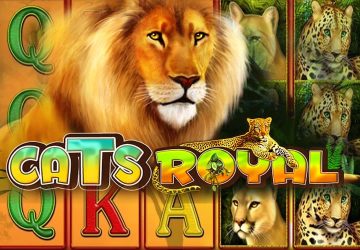 Cats Royal