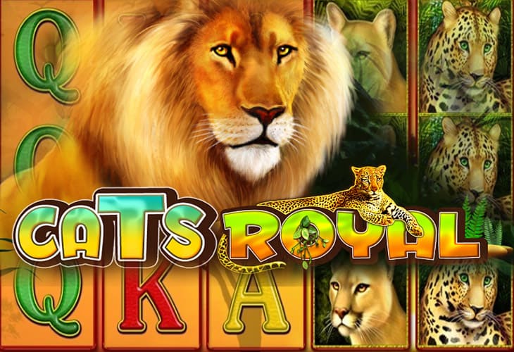 Cats Royal Cats Royal