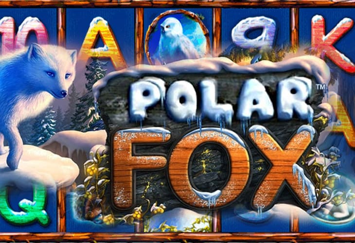 Polar Fox Polar Fox
