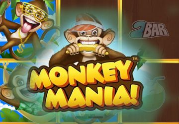 Monkey Mania