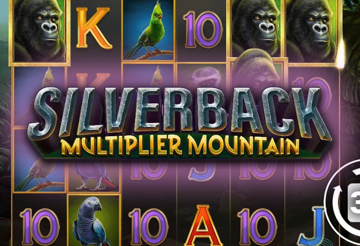 Silverback Multiplier Mountain Silverback Multiplier Mountain