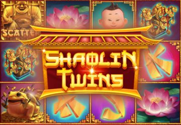 Shaolin Twins