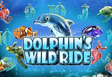 Dolphin’s Wild Ride