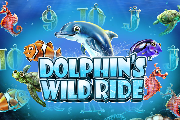 Dolphin’s Wild Ride