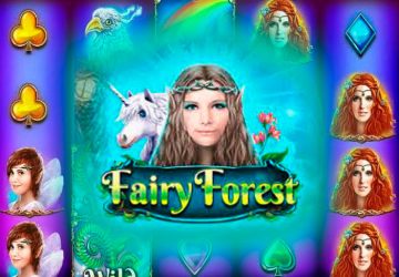 Fairy Forest