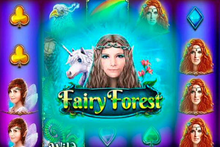 Fairy Forest