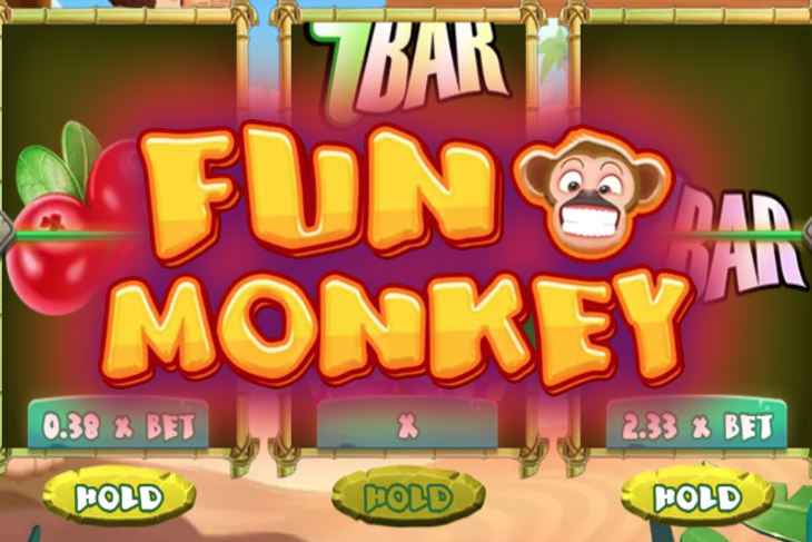 Fun Monkey