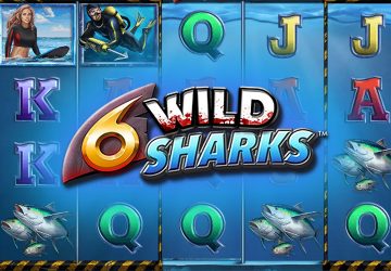 6 Wild Sharks