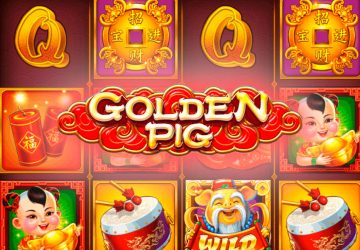 Golden Pig