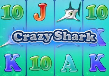 Crazy Shark