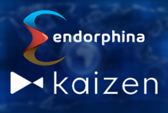 Endorphina объединяется с Kaizen Gaming